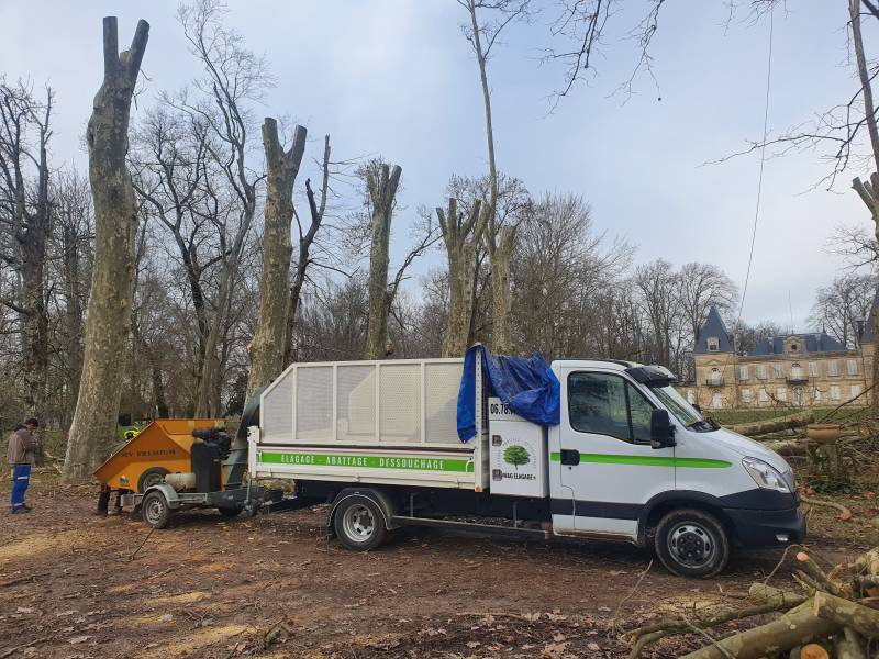 Abattage et dessouchage des arbres à Blanquefort avec des élagueur professionnel