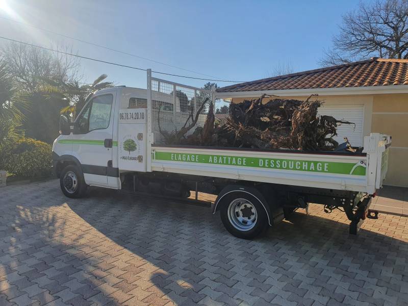 W&G élagage ces votre entreprisse de d'élagueur professionnel pour tout vos travaux de dessouchage et de rognage de souche à Bordeaux