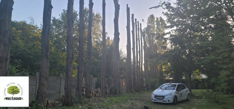 Un élagueur de qualité avec des prix abordable dans le Médoc