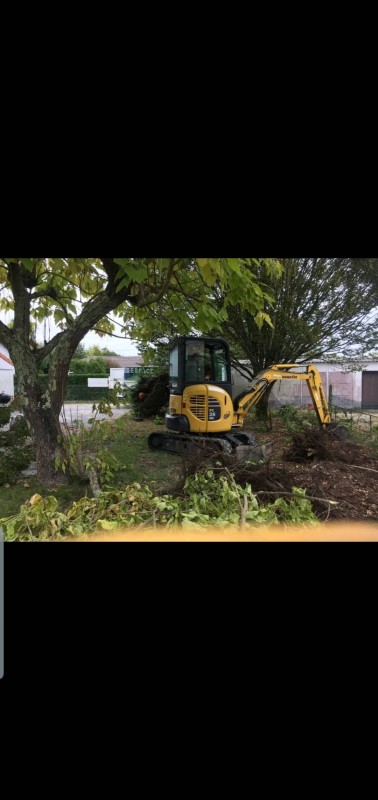 Une entreprise d'élagage professionnels pour le dessouchage d'arbres a Eysines 