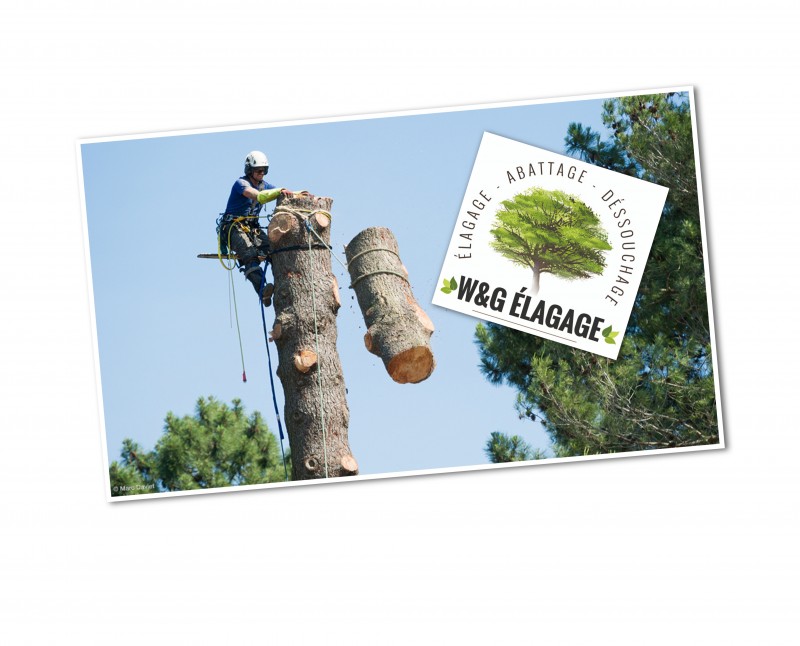 Une entreprise d'élagage des arbres à Bordeaux pour tout vos travaux d'entretien et d'abattage 