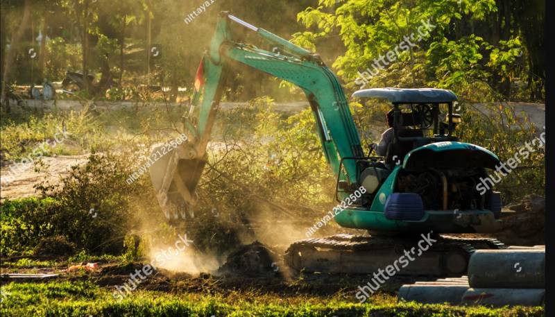 Une entreprise d'élagage pour le dessouchage d'arbres avec des élaguer professionnel à Castelnau de médoc