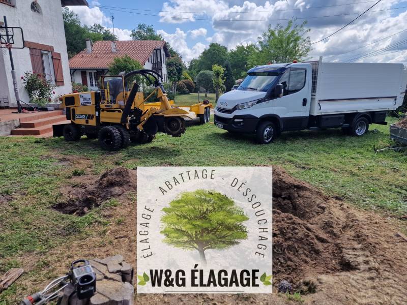 Tout savoir sur le dessouchage d'arbre à Bordeaux