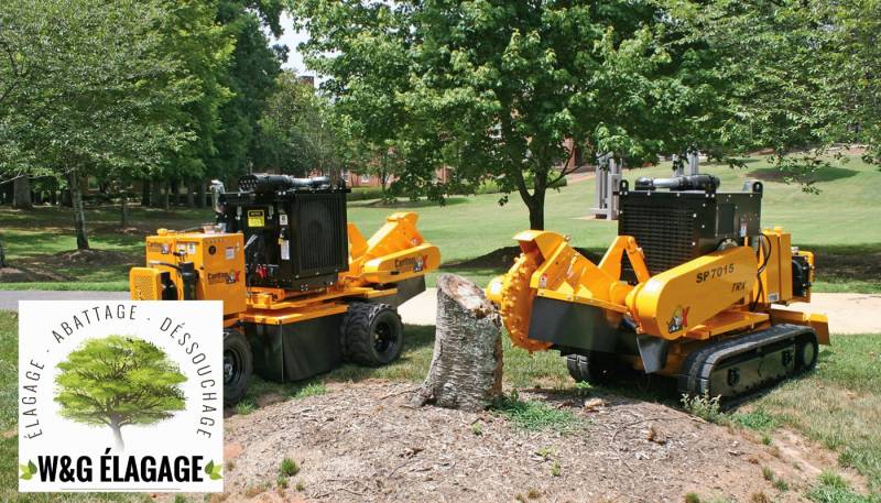 Faire appel à un élaguer professionnel  pour le dessouchage d'une souche après l'abattage de L'arbre à Lesparre Médoc