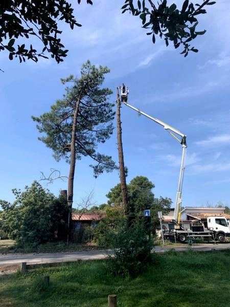 Un élaguer professionnel pour l'élagage et l'abattage d'arbres a Saint Aubin de Médoc
