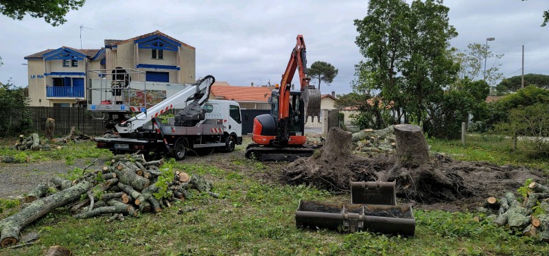 Dessouchage d'un arbre au Bouscat après l'abattage avec un élagueur professionnel