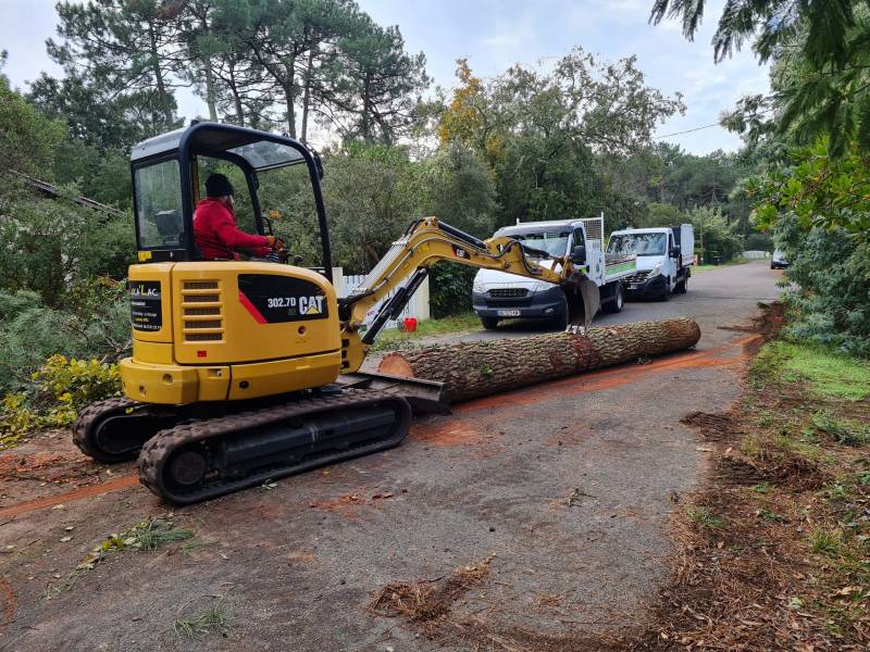 Un élagueur professionnel pour le dessouchage d'une souche après le l'abattage d'un arbre au Haillan 