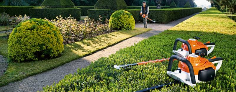 Entreprise d'élagage pour la taille de haie en hiver à Eysines dans le médoc