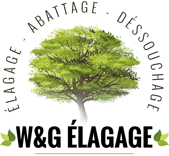 W&G Élagage & Abattage
